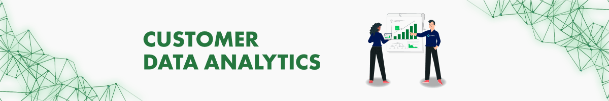 Customer data analytics